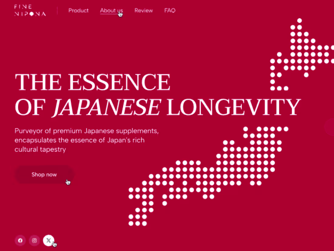 Cover image for Fine Nipona | Web Design