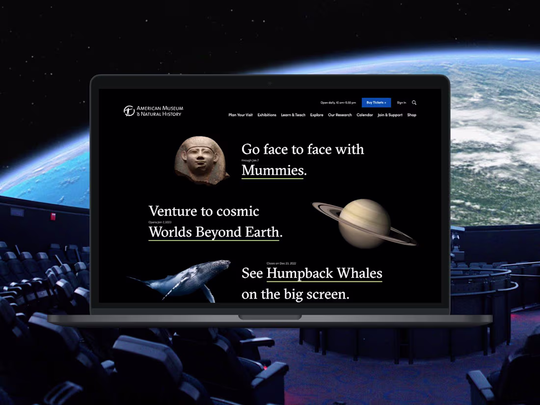 Cover image for American Museum of Natural History