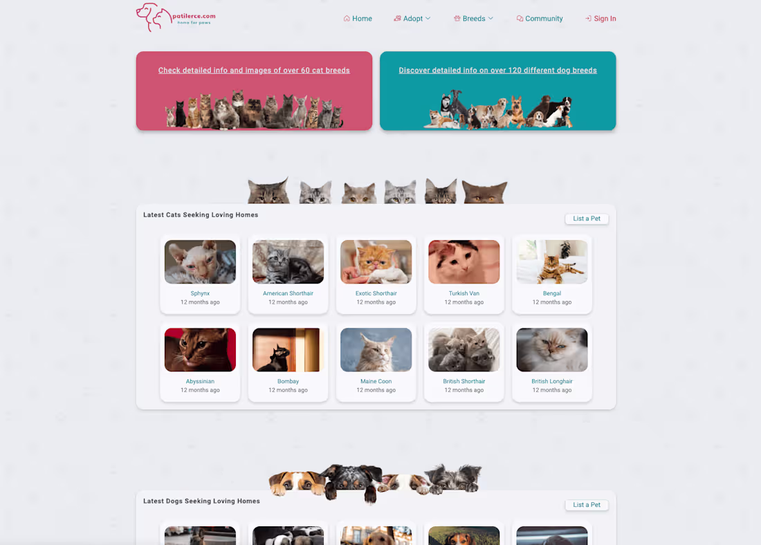 Cover image for patilerce.com - A Pet Adoption Website