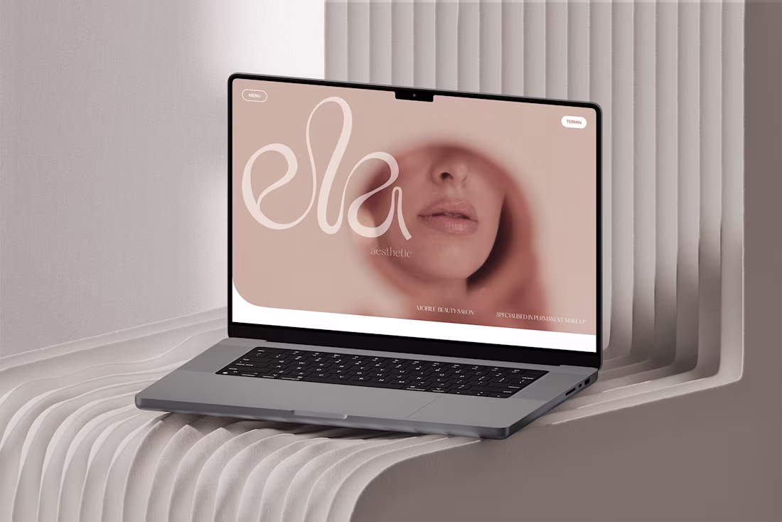 Cover image for ela aesthetic