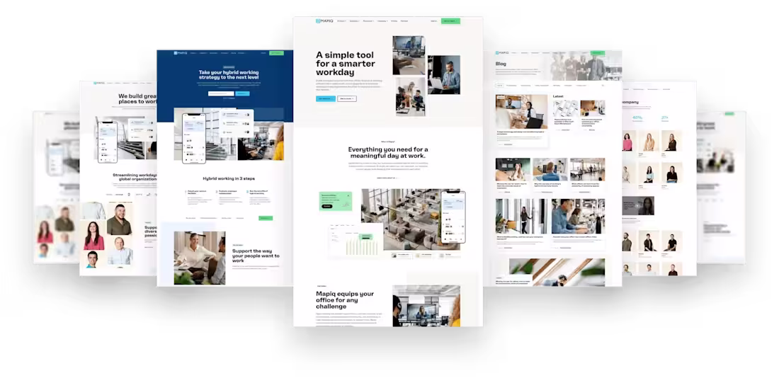 Cover image for Mapiq