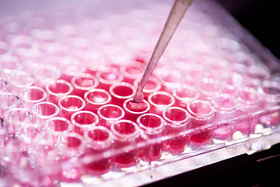 Cover image for Bioethics in the Age of Organoids and Synthetic Embryos