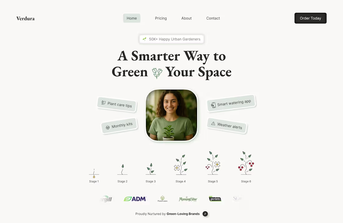 Cover image for Green your space using Verdura