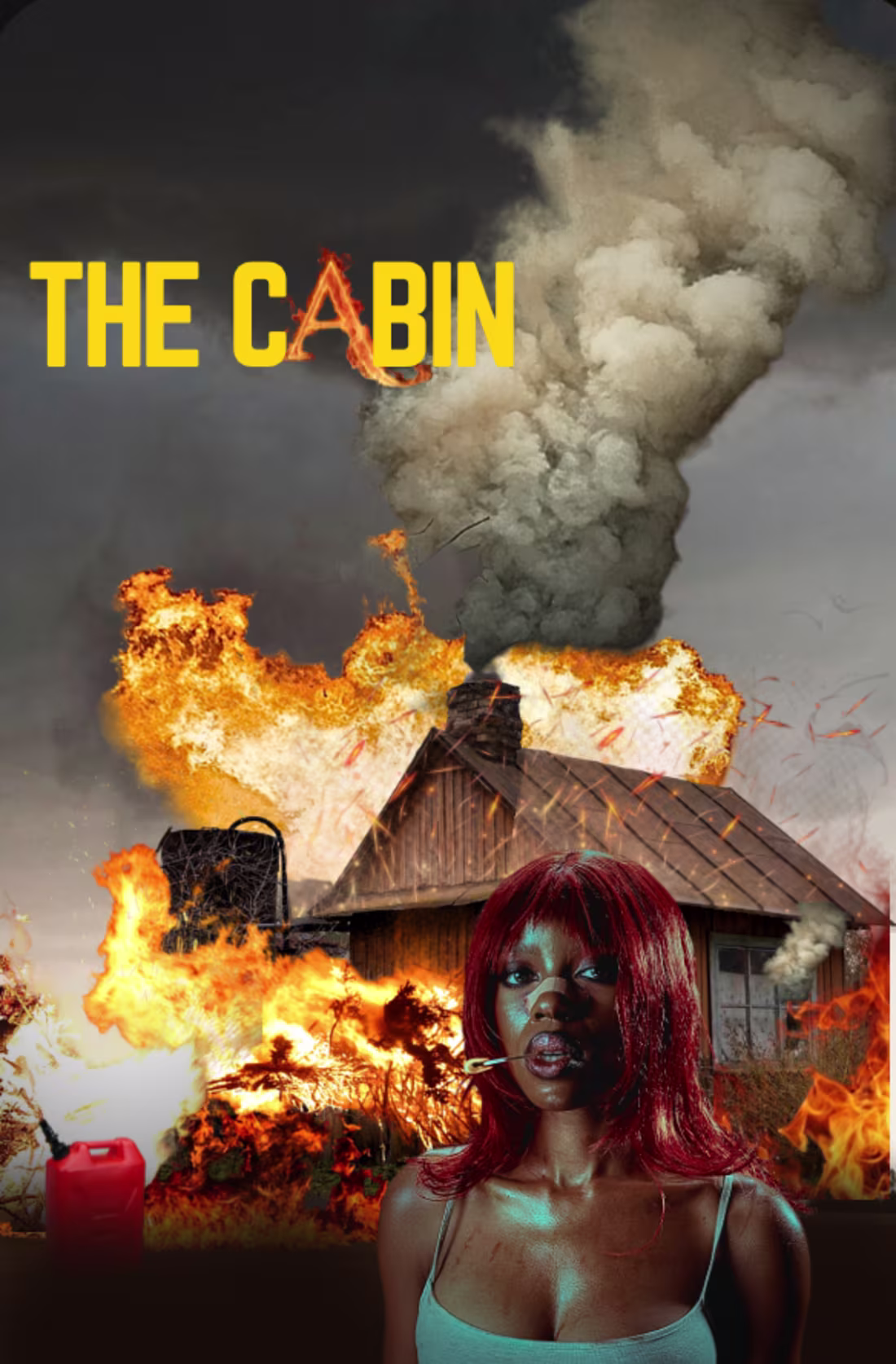Cover image for THE CABIN