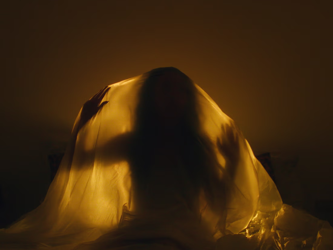 Cover image for Vase Mirror Self (short film)