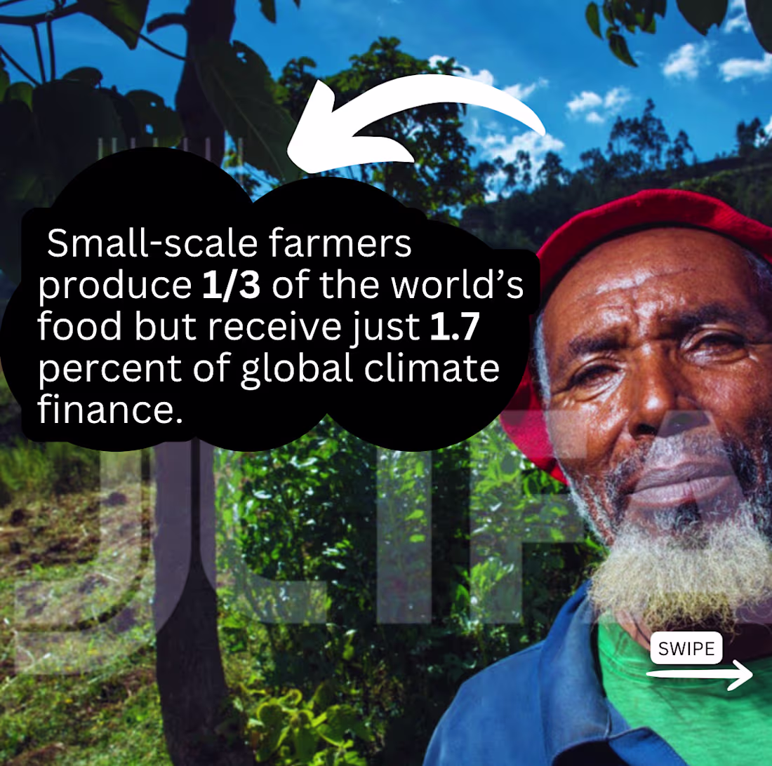 Cover image for IFAD ASAP+ Launch Proposal