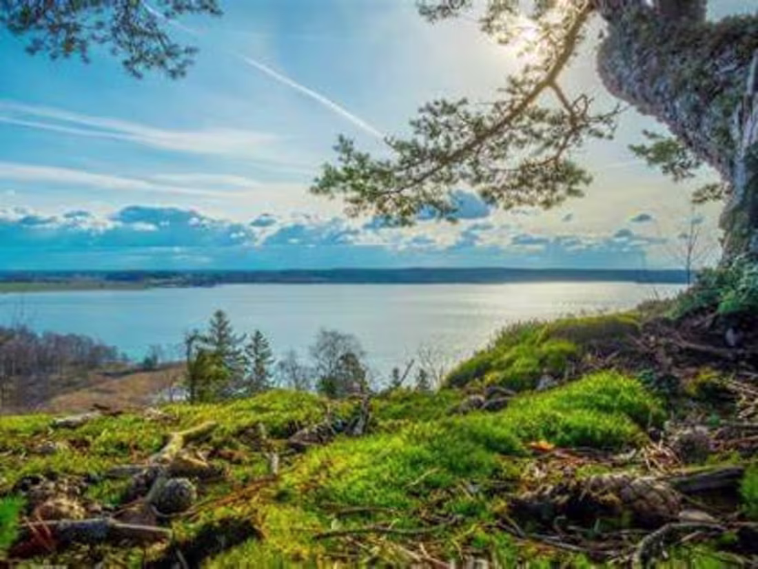 Cover image for The Unwavering Reality of Climate Change