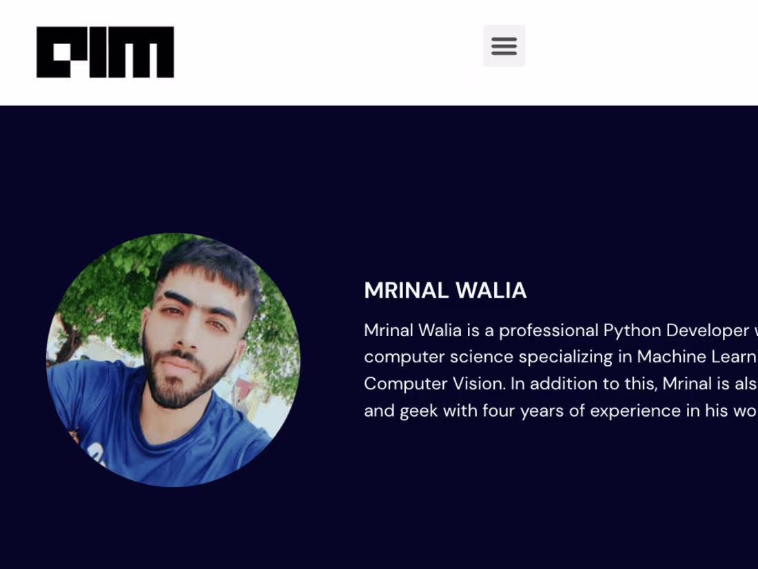 Cover image for Mrinal Walia