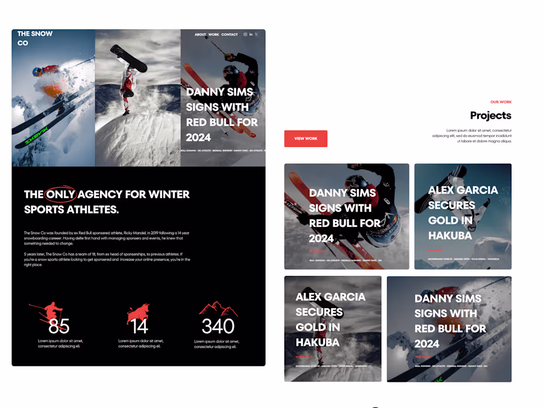 Cover image for The Snow Co