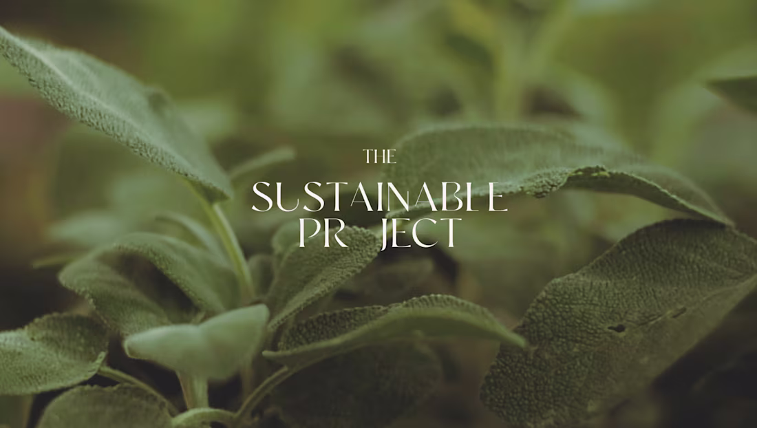Cover image for The Sustainable Project