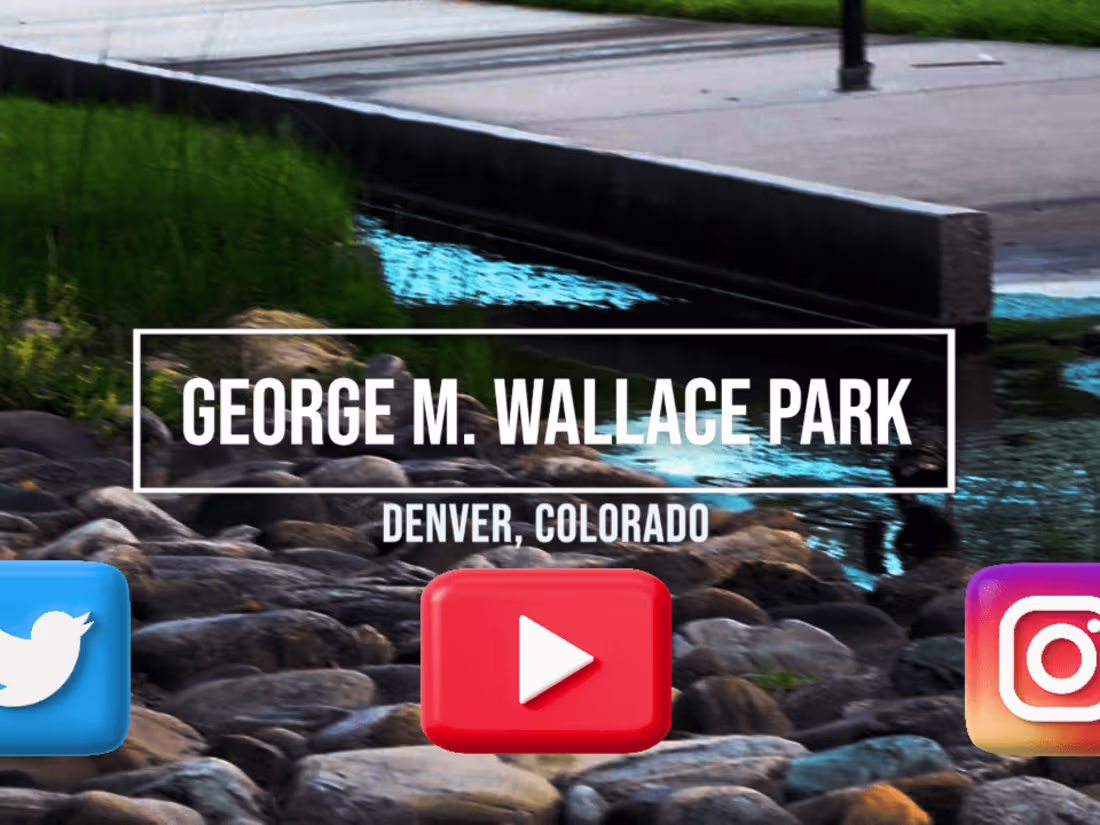 Cover image for A Walk in the Park | Chill Mix