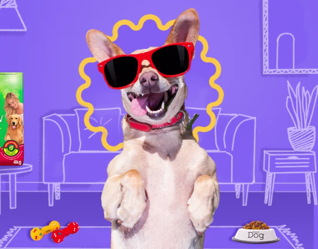 Cover image for SIRENA | Feria de Mascotas 2022