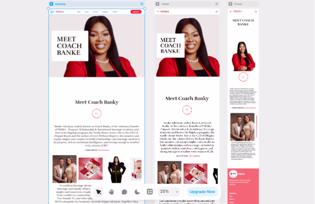 Cover image for PRIMA (PURPOSE RELATIONSHIP AND INTENTIONAL MARRIAGE ACADEMY...