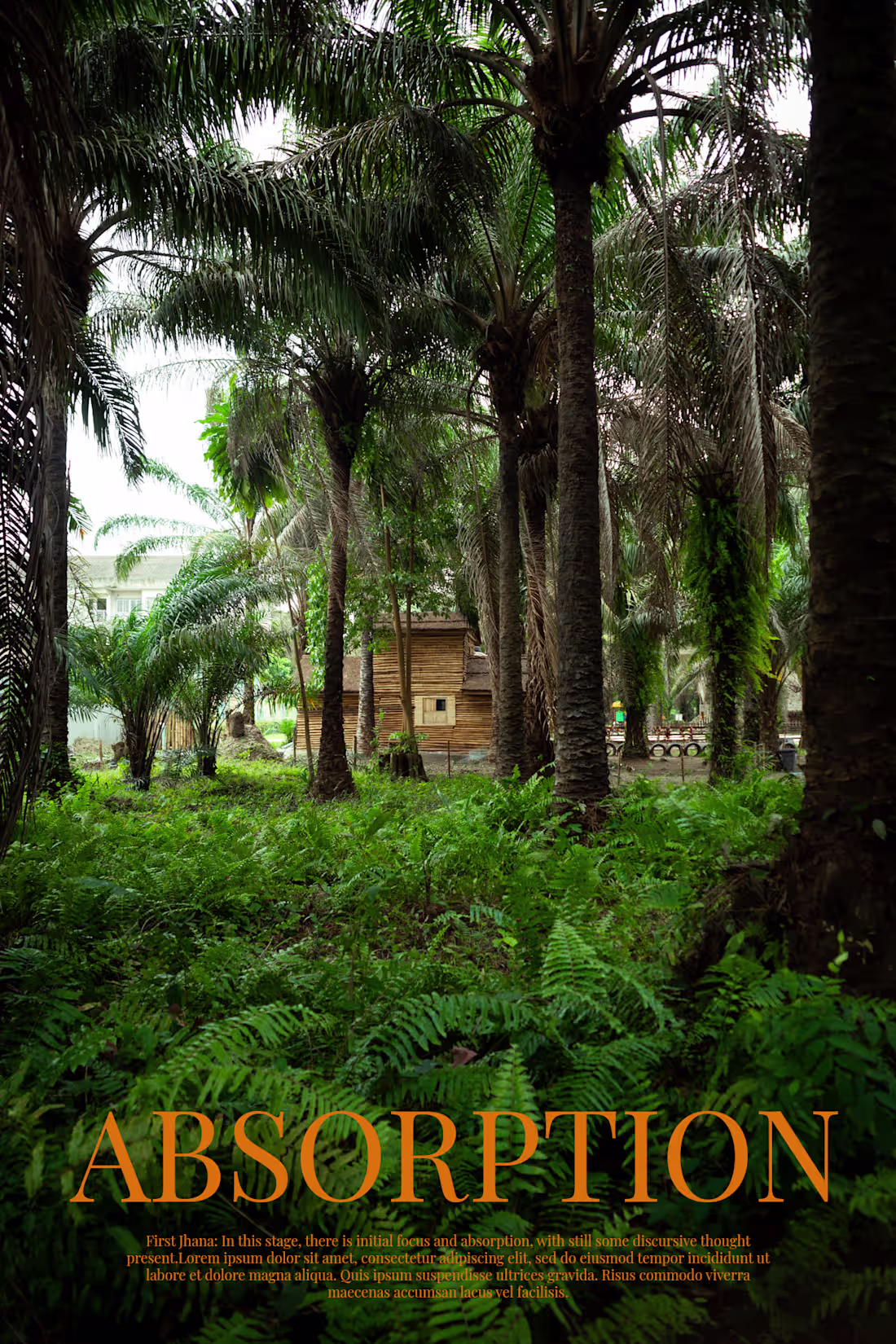 Cover image for 4 Phases of Serenity 