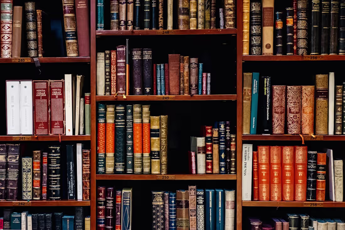 Cover image for What to Consider When Applying to Law Schools