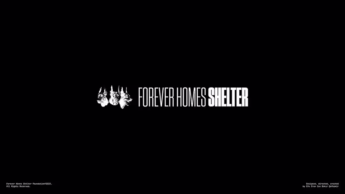 Cover image for Forever Homes Shelter™ • Brand System • Web Design