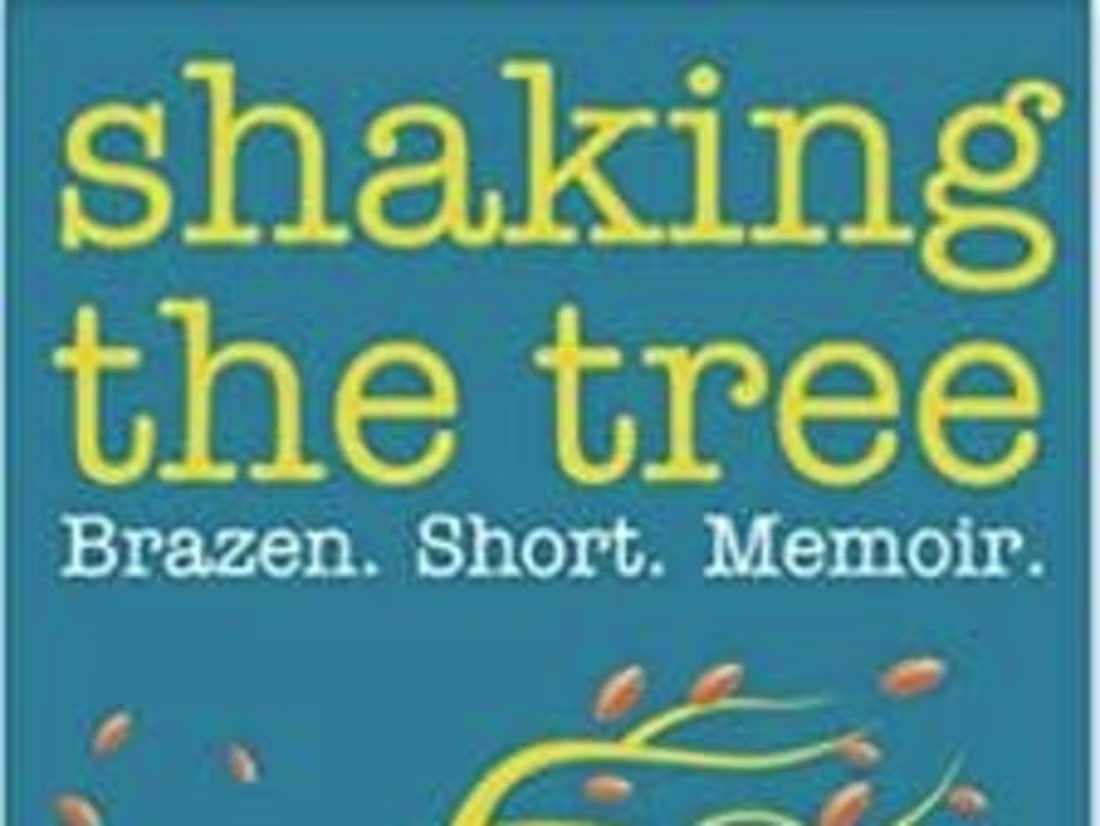 Cover image for Shaking the Tree: Brazen. Short. Memoir. (Volume 3): I Didn’t S…
