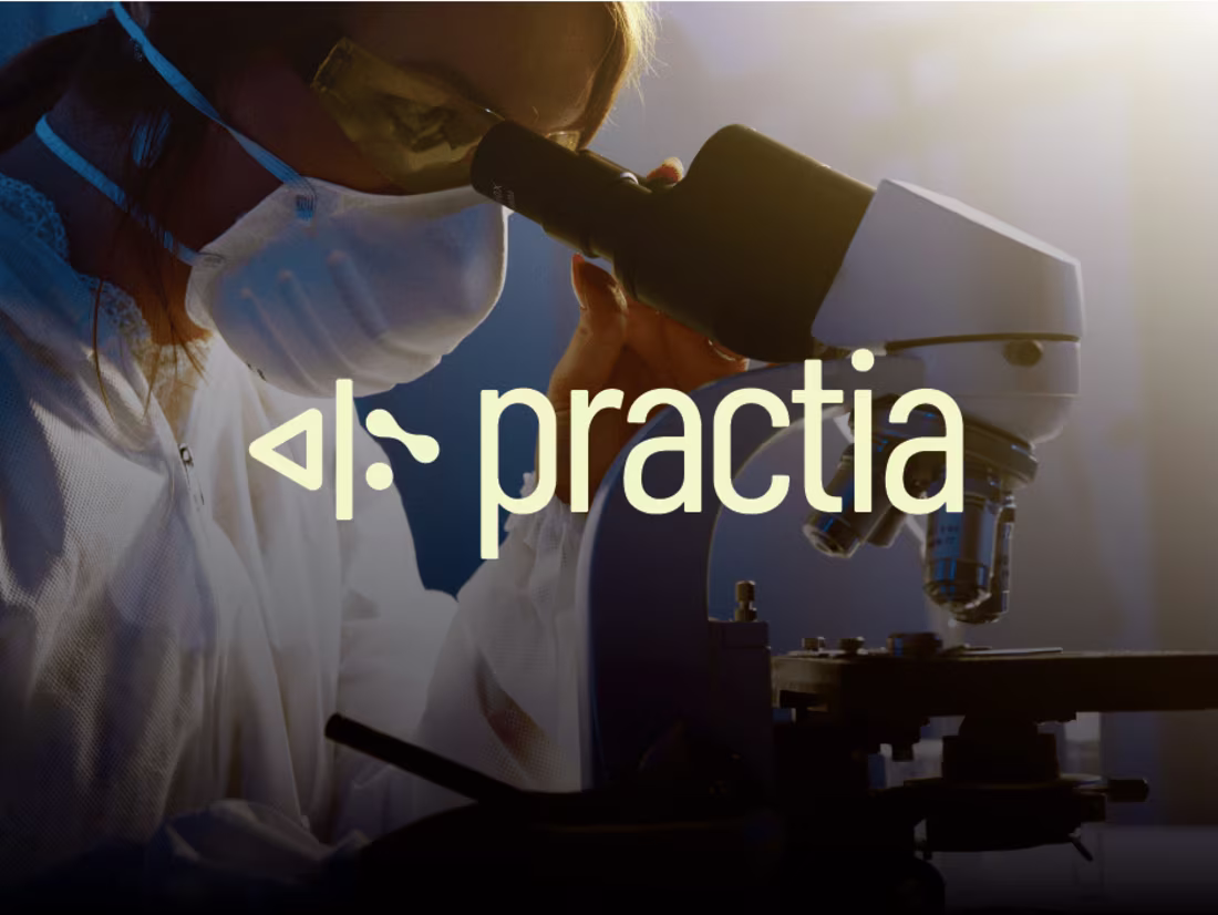 Cover image for Practia Branding 