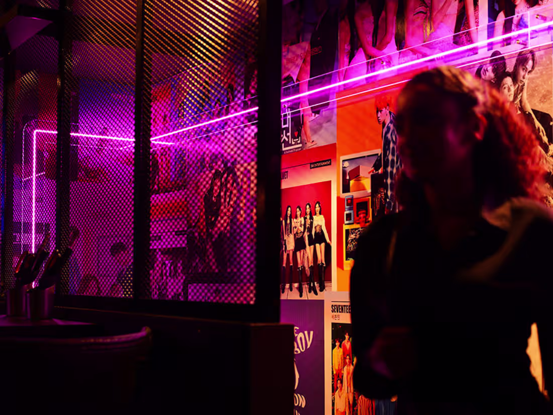 Cover image for GAJA