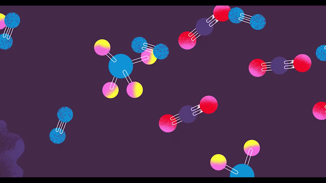 Cover image for Fifty Years Lecture Trailer