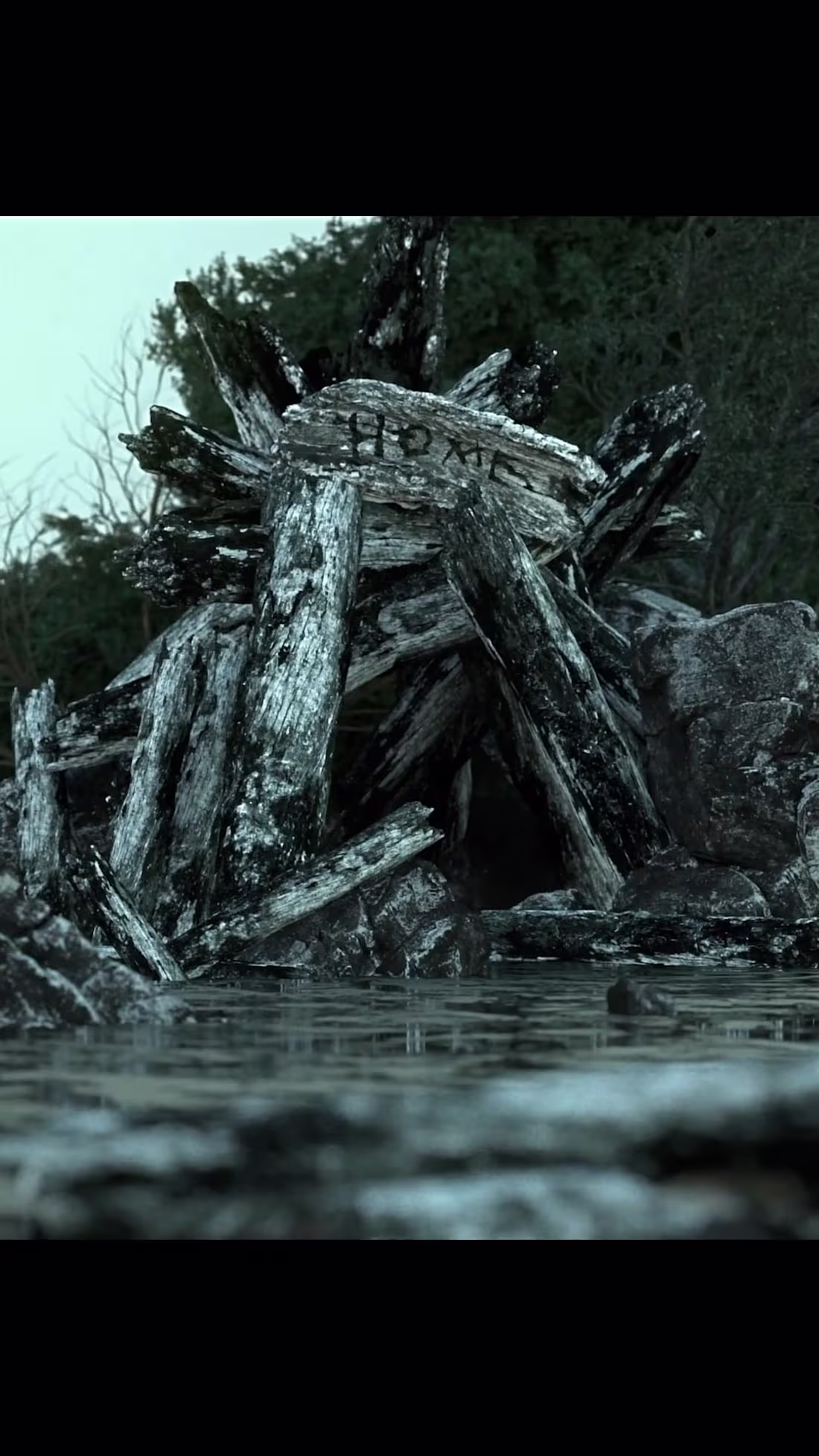 Cover image for SHORE (Short Film)