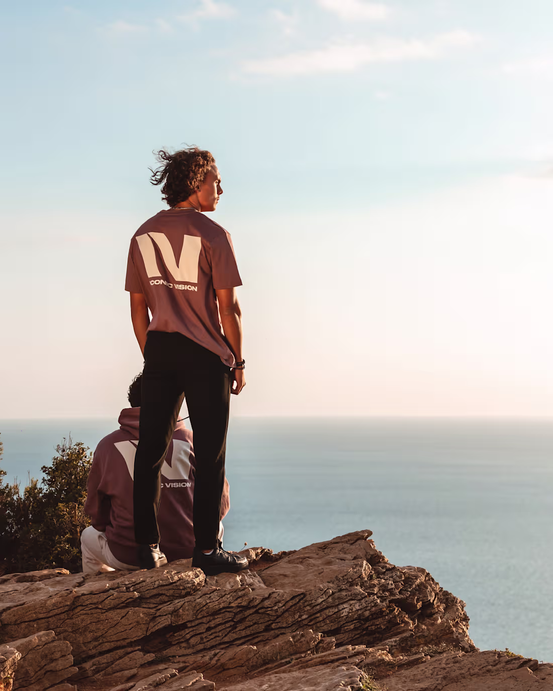 Cover image for Complete Branding for Iconic Vision