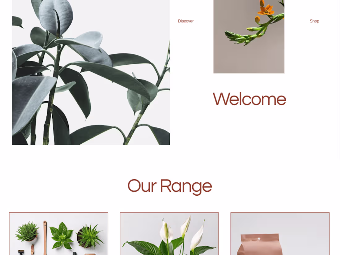 Cover image for web designer