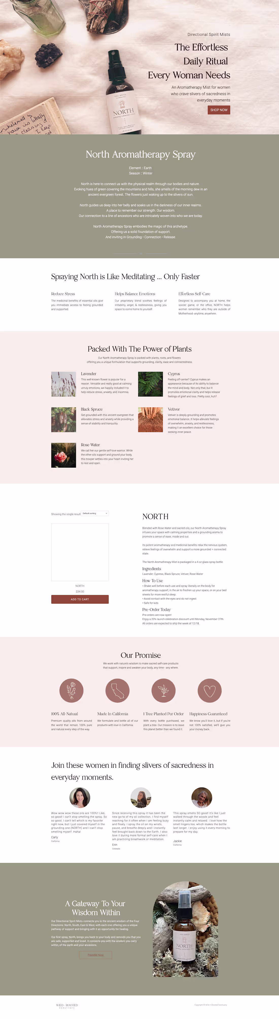 Cover image for Wild and Rooted Sales Page and Product Launch