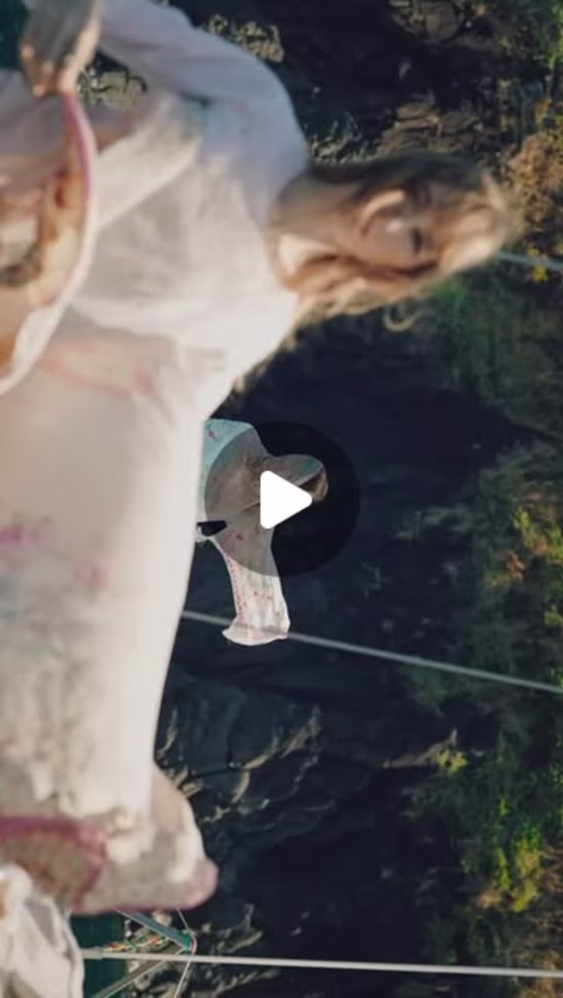 Cover image for Aiqa - Art of Life