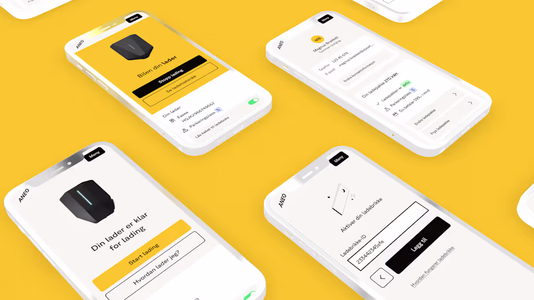 Cover image for Aneo Mobility