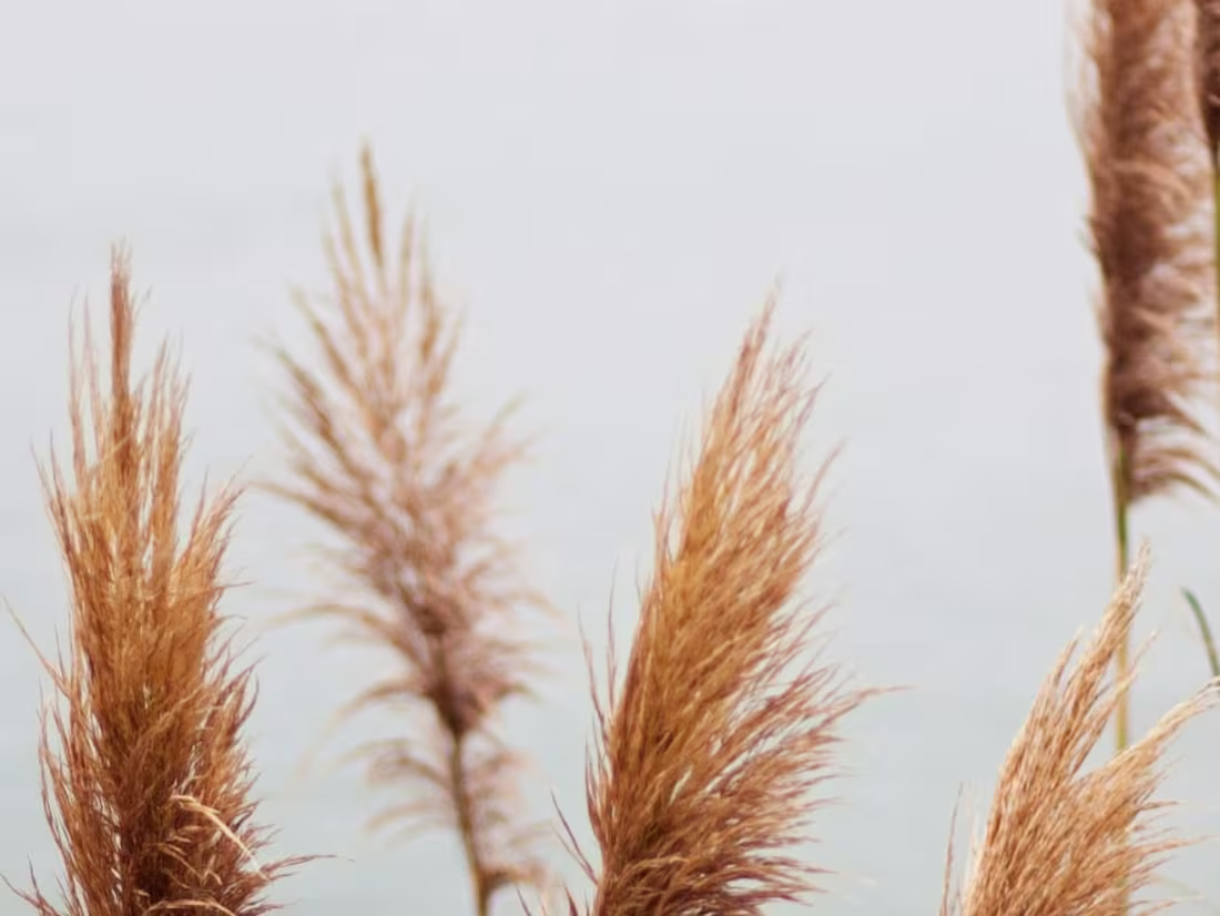 Cover image for Does your job align with your values?