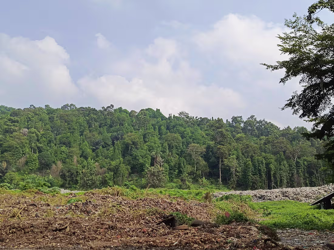 Cover image for Write some journal