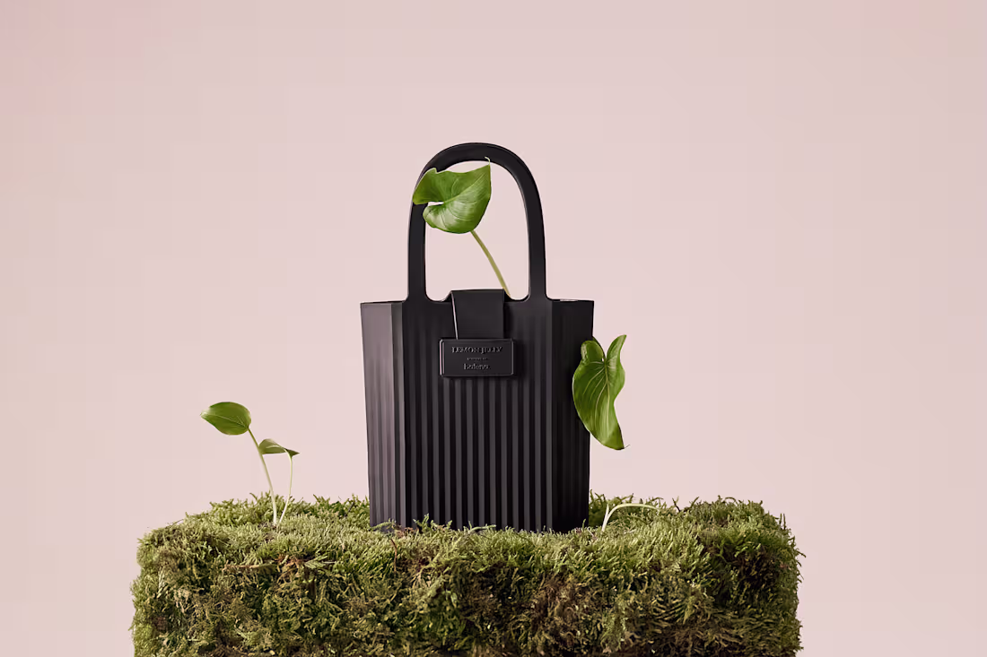 Cover image for Product Campaign for Lemon Jelly