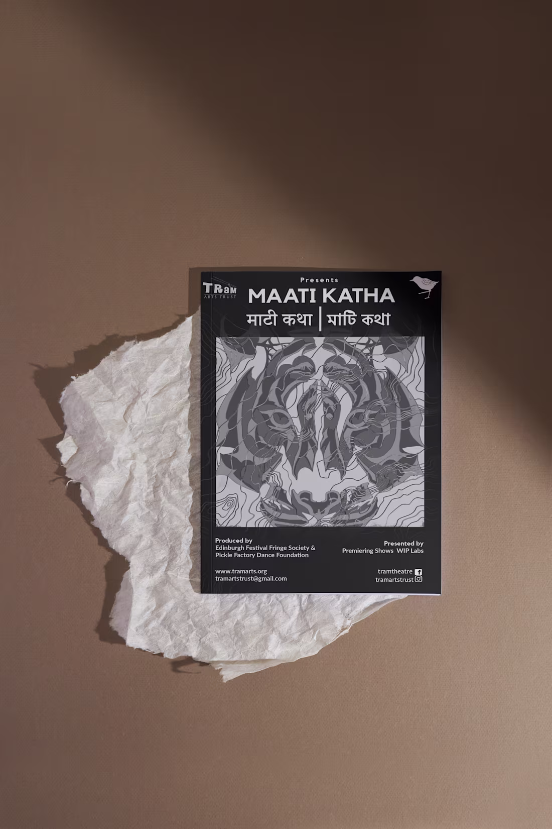 Cover image for Little Stint 2024