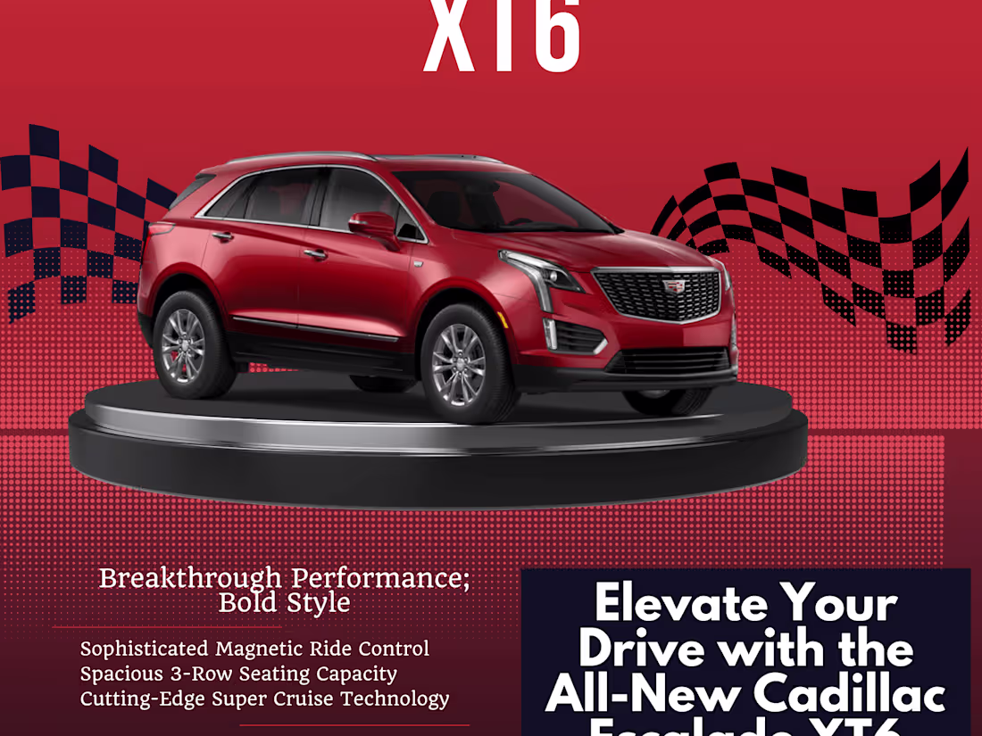 Cover image for Canva designs 