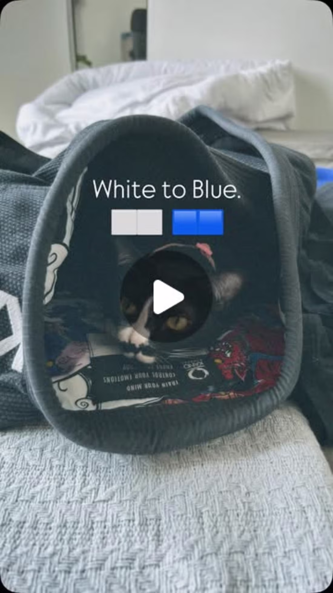 Cover image for @aaaroning.bjj on Instagram: “Everyone sucks. Just work harder.…