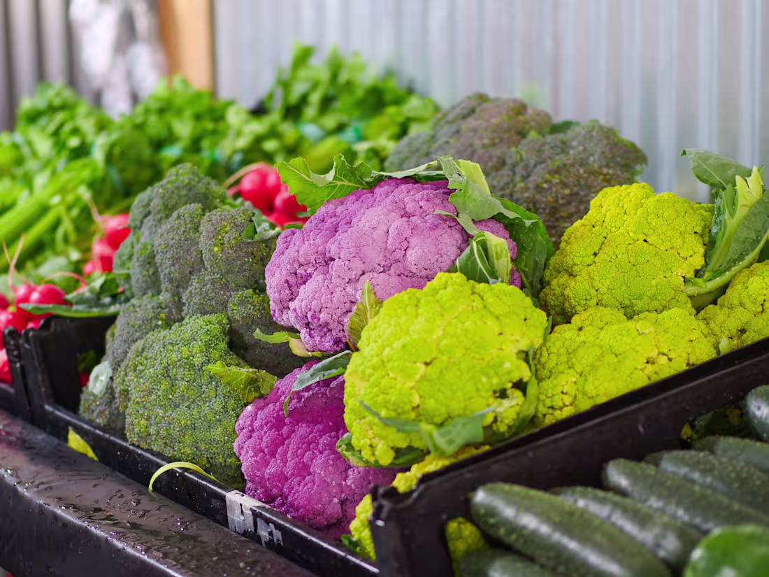 Cover image for Health