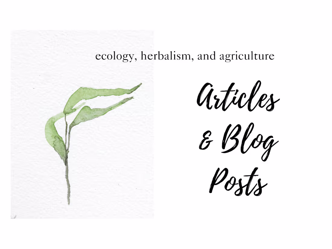 Cover image for Researched Blog Posts 