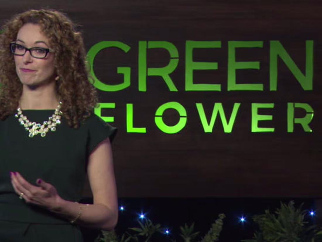 Cover image for Cannabis Blog Website Management