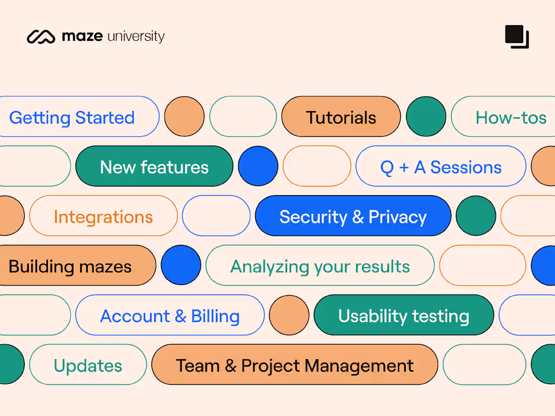 Cover image for Maze University Identity