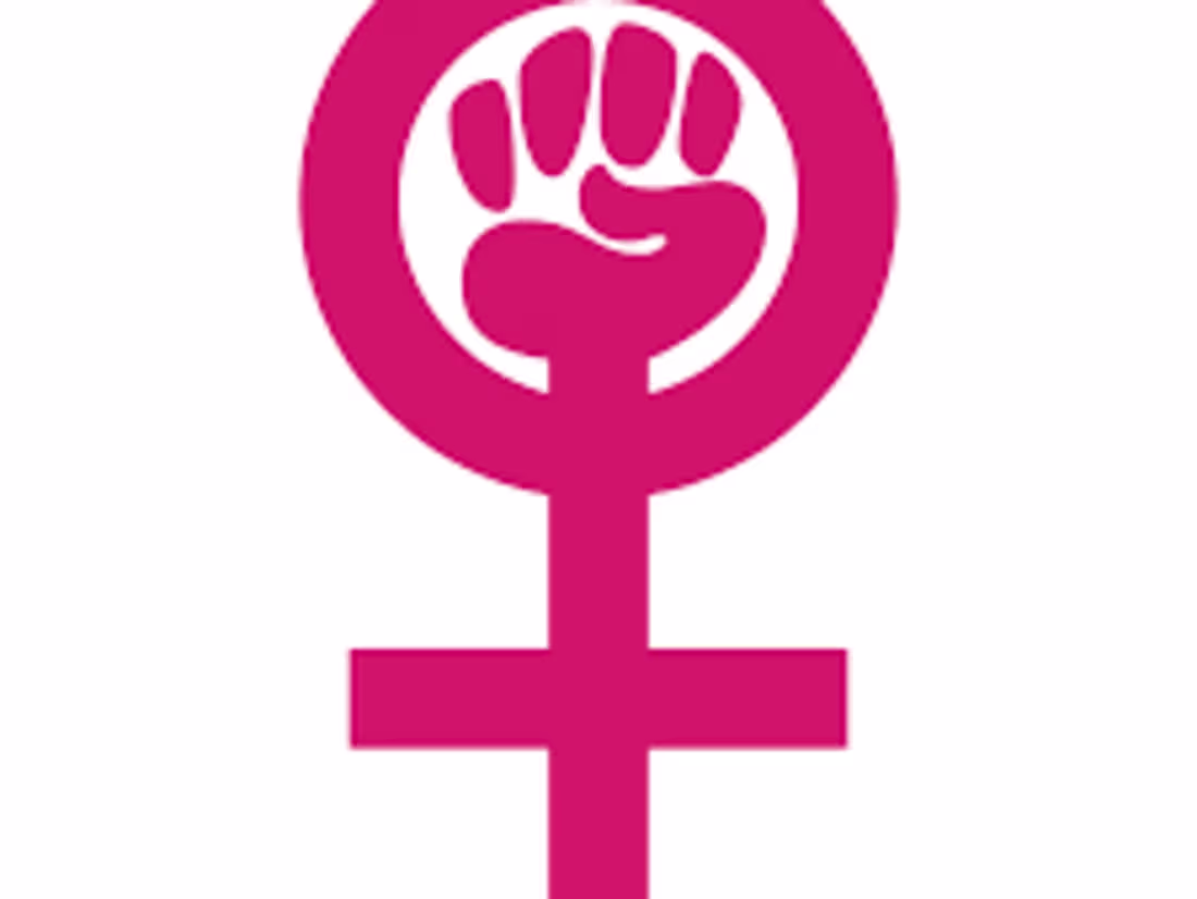 Cover image for "Feminism: History and Evolution"