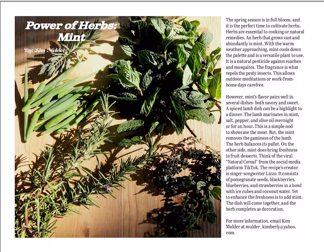 Cover image for Herb Article: Mint
