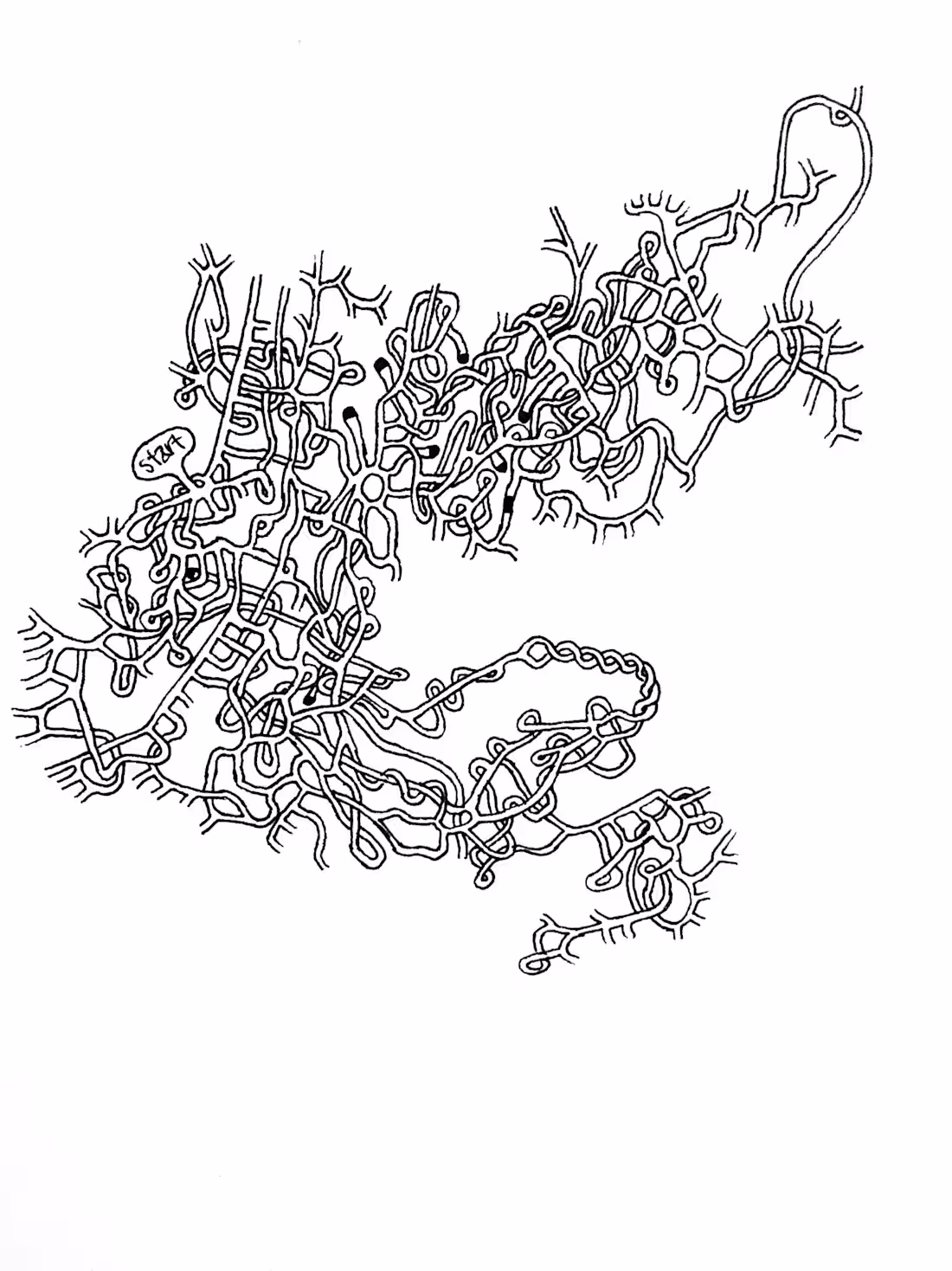 Cover image for Untitled