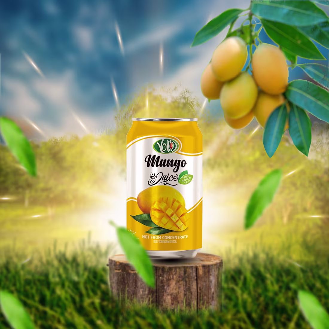 Cover image for 5cd079151564757.630e4e1ea45c8.jpg (2000×2000)