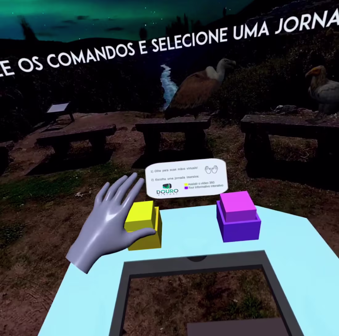 Cover image for Douro VR - Oculus Quest