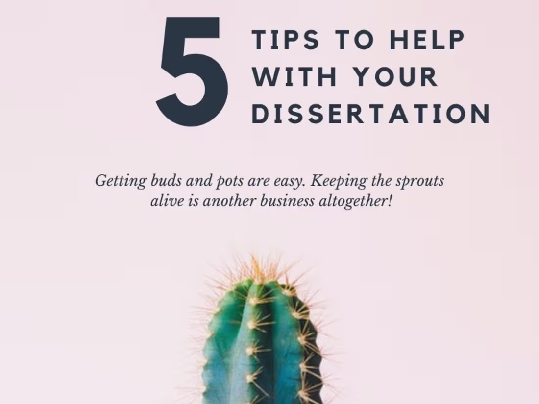 Cover image for content writer