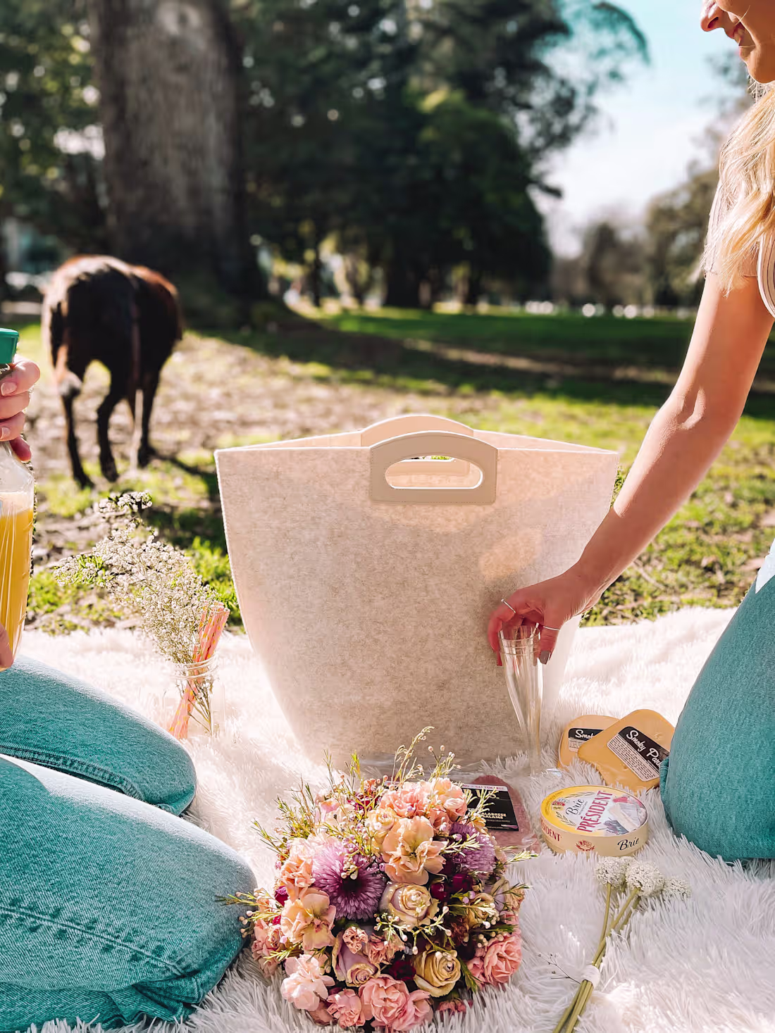 Cover image for Integrated Social Media Management Strategy & Digital Marketing