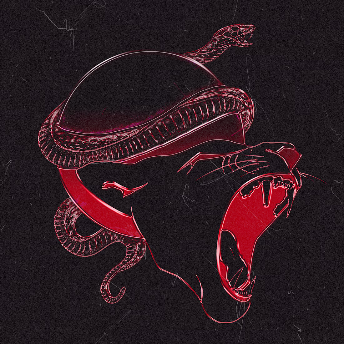 Cover image for Brand Identity for Music Artist 'The Daze'