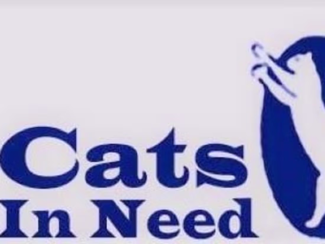 Cover image for Cats In Need Rancho Cucamonga