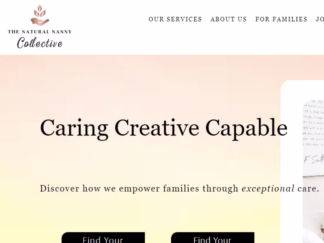 Cover image for The Natural Nanny Collective